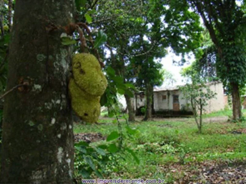 Foto 3 de 4 - Terreno para venda em Itapuca